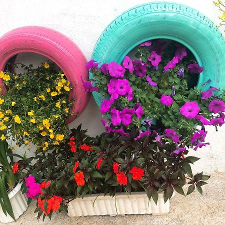 Thu Linh Guesthouse ดาลัด ภายนอก รูปภาพ